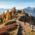 Herbstwanderungen mit Fernblick