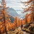 goldener Herbst Bergwandern