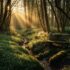 versteckte natur insider-spots