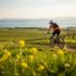 Mountainbiken im Burgenland