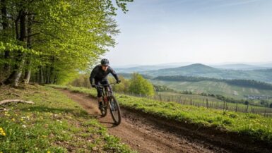 Mountainbike-Routen im Frühling